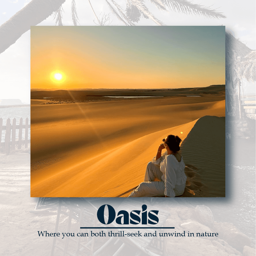 ../../../../../assets/images/destination/oasis.png